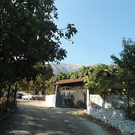 Eva Apartments Dhermi Bagian luar foto